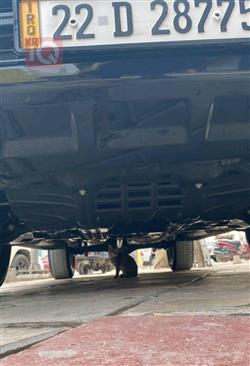 تويوتا هايلوكس